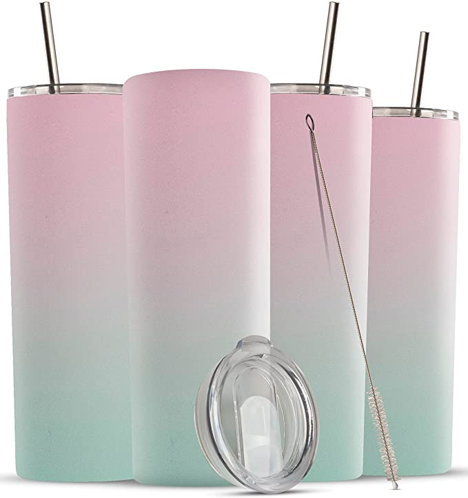 20oz Skinny Insulated Stainless Steel Tumbler with Lid and Straw