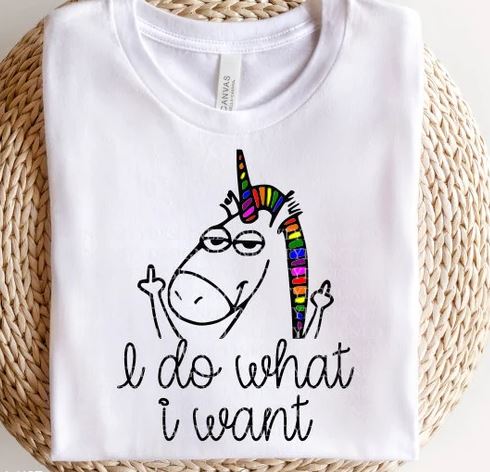 I Do What I Want- Shirt